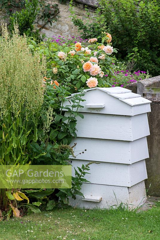 Beehive tucked away by roses and hardy geranium