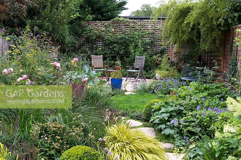A small walled town garden with patio seating area in front espaliered apple trees and gooseberry bushes. In the foreground, a harmoniously cloured mixed border with roses, salvia, rosemary, hackonechloa and Verbena bonariensis.