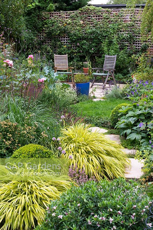 A small walled town garden with patio seating area in front espaliered apple trees and gooseberry bushes. In the foreground, a harmoniously cloured mixed border with roses, salvia, rosemary, hackonechloa and Verbena bonariensis.