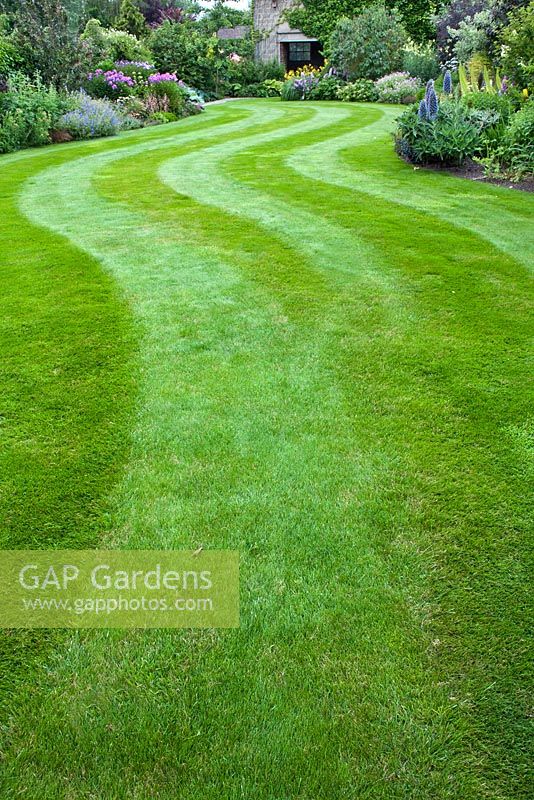 Lawn with mown pattern between summer borders.