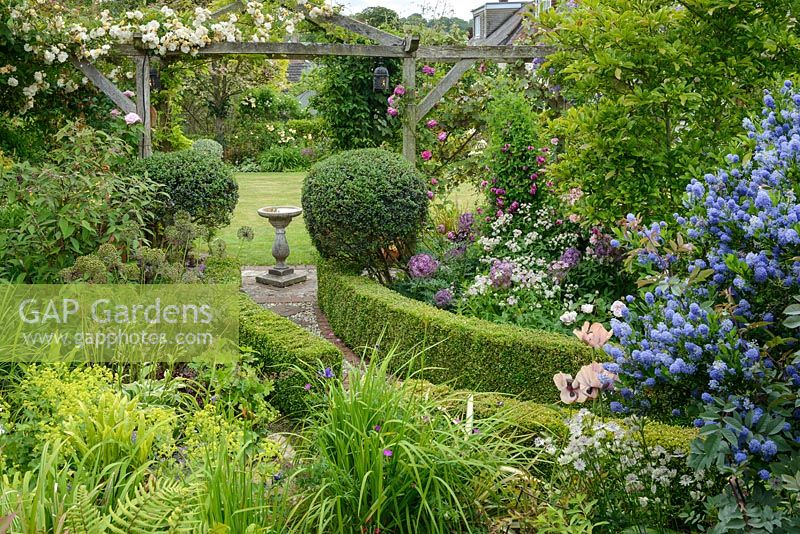 View to pergola with bird bath. Ilex crenata topiary and box edging. Herbaceous perennials including alliums, alchemilla, astrantia and irises. Shrubs including ceanothus, roses and magnolia.