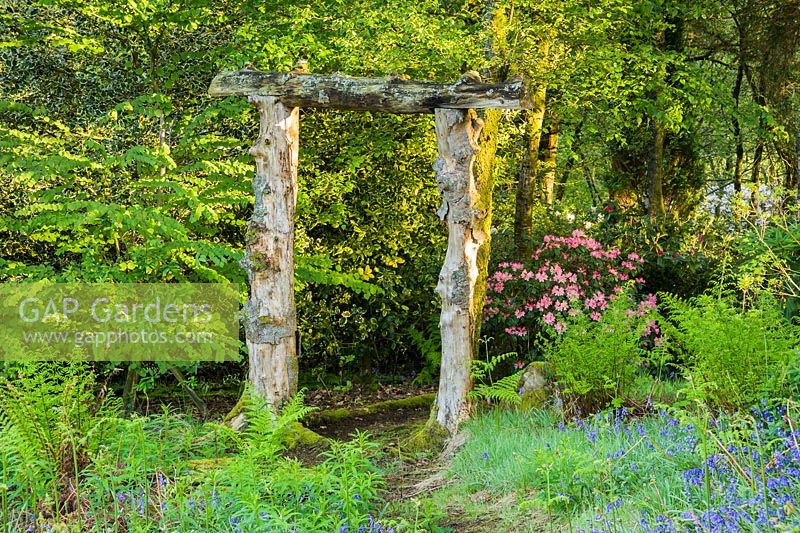 Path in the woodland garden leads between bluebells, ferns and bracken to an archway made from treetrunks. Windy Hall, Windermere, Cumbria, UK