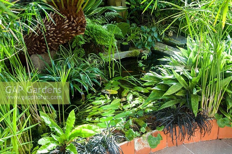 Conservatory built between the house and the rocky outcrop behind it, is home to a range of tender species such as aspidistras and Cyperus involucratus and includes a pond with goldfish. Windy Hall, Windermere, Cumbria, UK