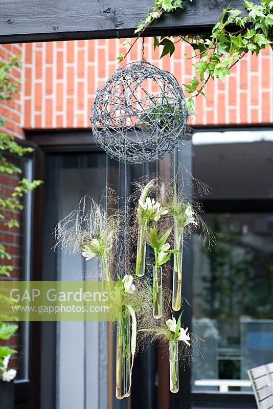 Hanging ornamental wire ball with Agapanthus White flowers. Family Fabry - Mathijs. Belgium