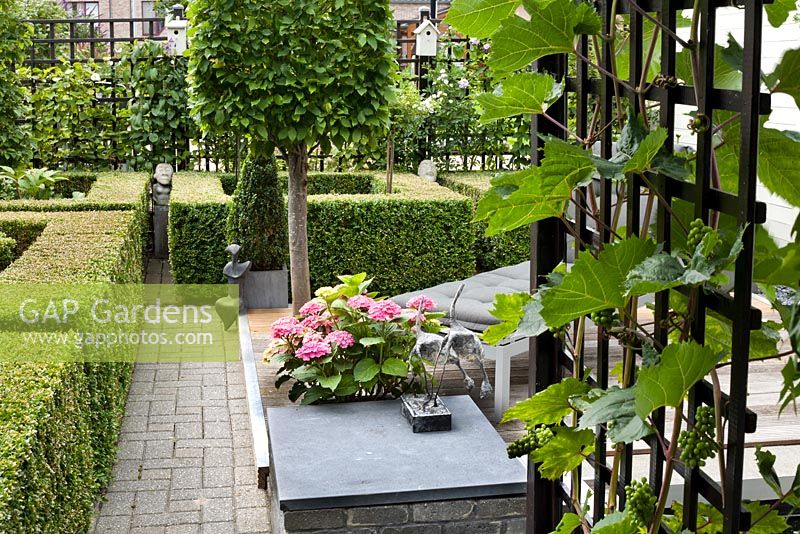 Paved path in small garden with parterre and raised bed. Trained Carpinus betulus 'Frans Fontaine'. Family Fabry - Mathijs. Belgium