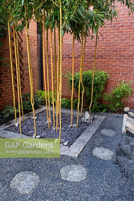 Front garden with gravel and stepping stone path. Fargesia robusta. Family Fabry - Mathijs. Belgium