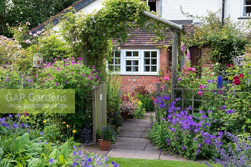 A cottage garden with wooden arch surrounded by Geranium x magnificum, G. psilostemon and G. 'Rozanne' with roses and clematis.