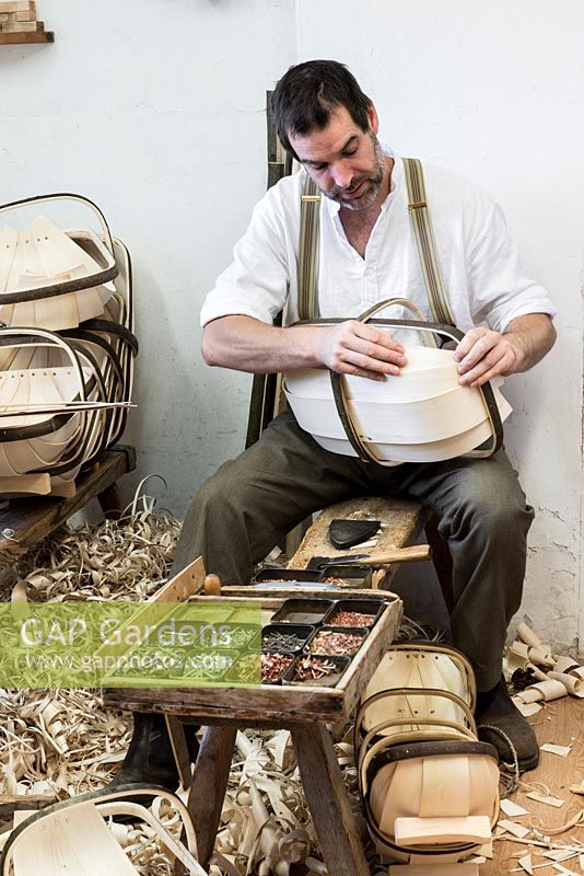 Charlie Groves making a traditional Sussex trug. Curving a willow board within the steam bent sweet chestnut rim, to form part of the basket's body.