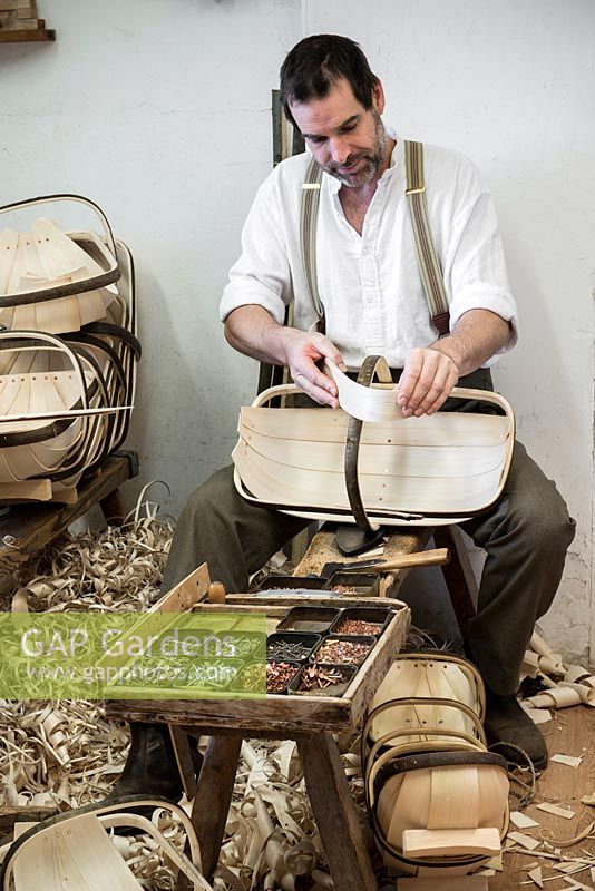 Charlie Groves making a traditional Sussex trug. Curving a willow board within the steam bent sweet chestnut rim, to form part of the basket's body.