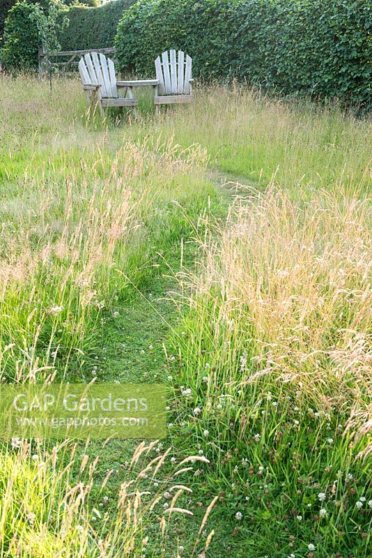 Mown path in long grass with Adirondack chairs