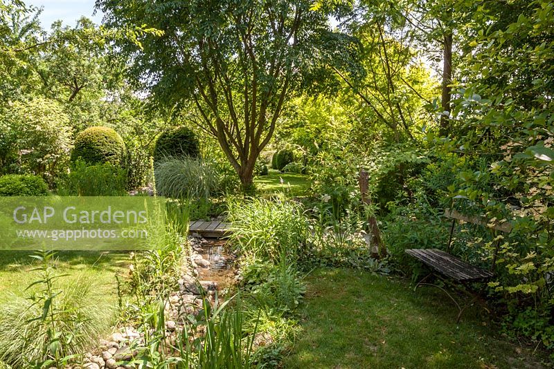 Bench and stream with waterside planting, clipped yew, Prunus serrulata 'Taihaku' and mixed planting - June, Le Jardin de Marguerite, France