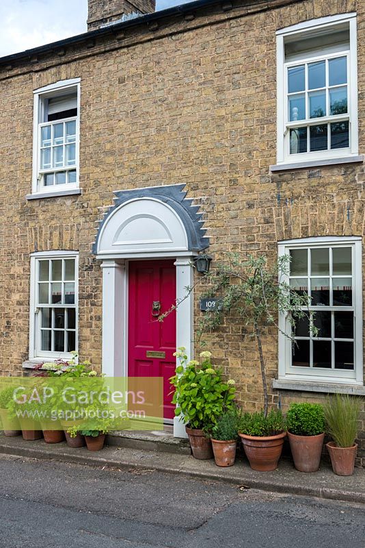 A small container garden with terracotta pots outside an 1850's end of terrace cottage.
