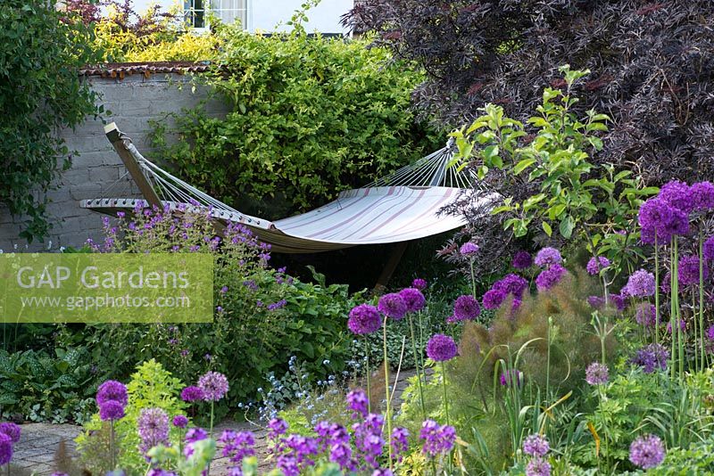 A hammock behind a border planted with Allium 'Purple Sensation', forget-me-not, bronze fennel, erysimum and a young apple tree.