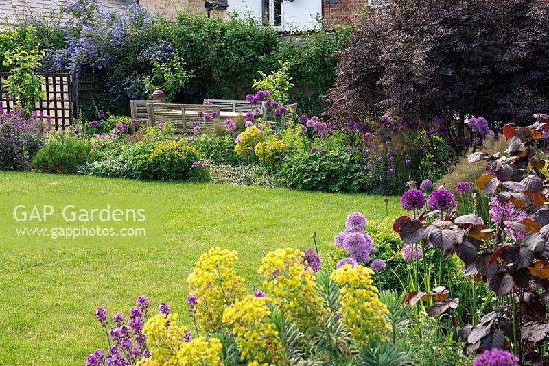 A family garden with seating area, lawn and borders filled with tough plants including: Allium 'Purple Sensation', Euphorbia characias subsp. wulfenii, Aquilegia vulgaris, Erysimum 'Bowles Mauve', bronze fennel and Alchemilla mollis with purple hazel and black elder trees.