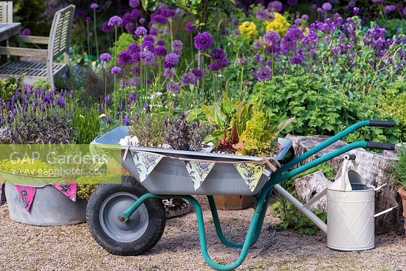 A small container garden with a metal bath tub and upcycled wheelbarrow planted with herbs.