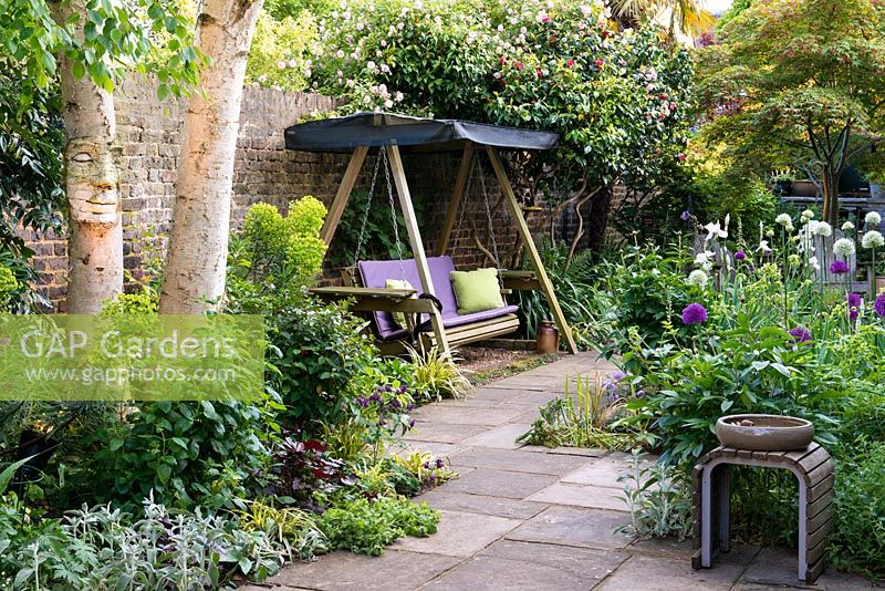 In left bed, silver birch with face sculpture by Pauline Lee amidst euphorbia, black elder, perennial wallflower, grasses and aquilegias. A swing seat sits below pink camellias and Rosa 'Paul's Himalayan Musk'. On right, sunny bed planted with purple and white alliums, scabious, peonies, Mathiasella burpleuroides 'Green Dream' and Iris 'Jane Phillips'.