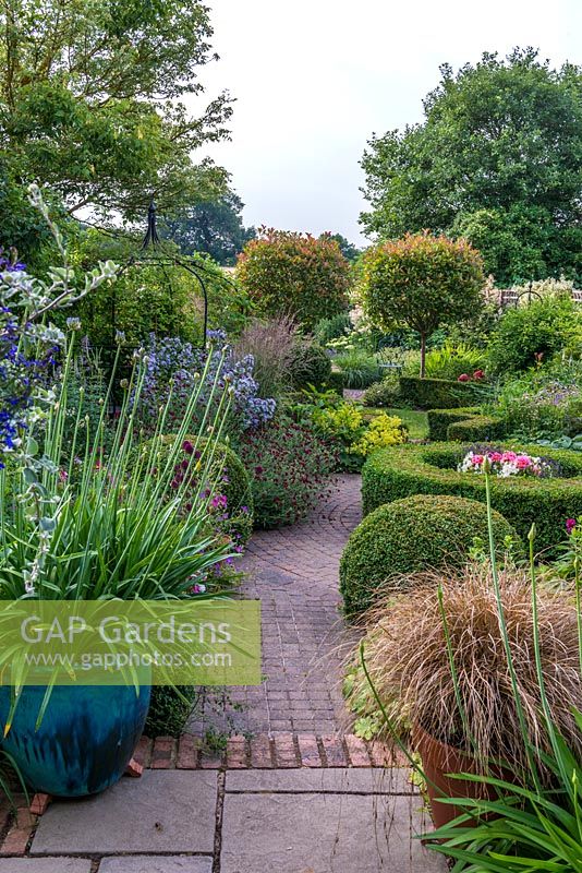 A suburban garden with a circular structure created by shaped box and paving sets. Two Photinia x fraseri standards divide the garden and provide height. Deep mixed borders and containers include Agapanthus, Campanula, Knautia, Alchemilla, Clematis and ornamental grasses.