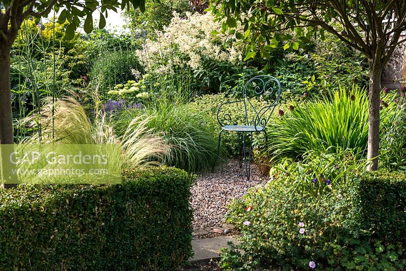 A view from underneath two Photinia x fraseri standards into a secluded seating area planted with Verbena bonariensis, Allium Sphaerocephalon, Geranium and Stipa tenuissima.