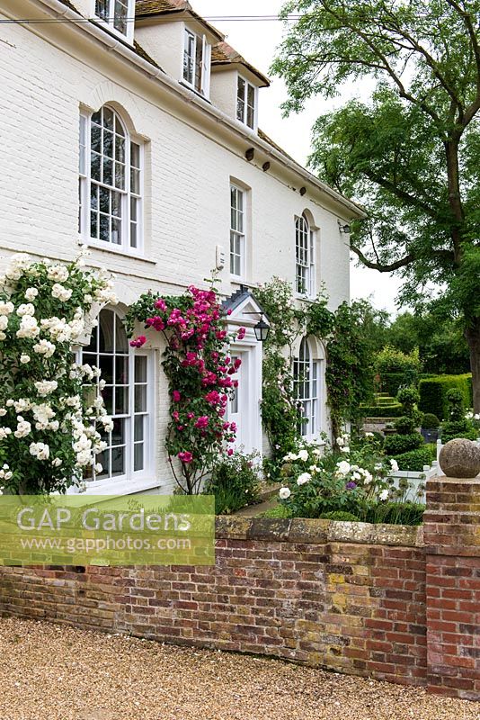 Kelvedon Hall, a 17th century farmhouse with pink and white roses trained around the windows. Rosa 'Reine de Violettes', 'Icelberg' and 'Jacques Cartier'.