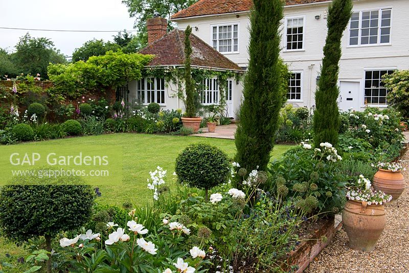 A courtyard garden with lawn and borders with Italian cypress, privet standards, Paeonia 'Krinkled White', foxgloves and white Rosa 'Winchester Cathedral'.