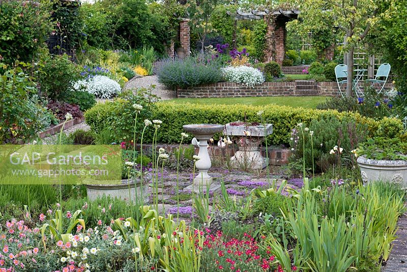 A garden with 4 terraced levels including a herb garden with thyme interplanted with paving, box hedging, lawn, seating area and colourful mixed borders.