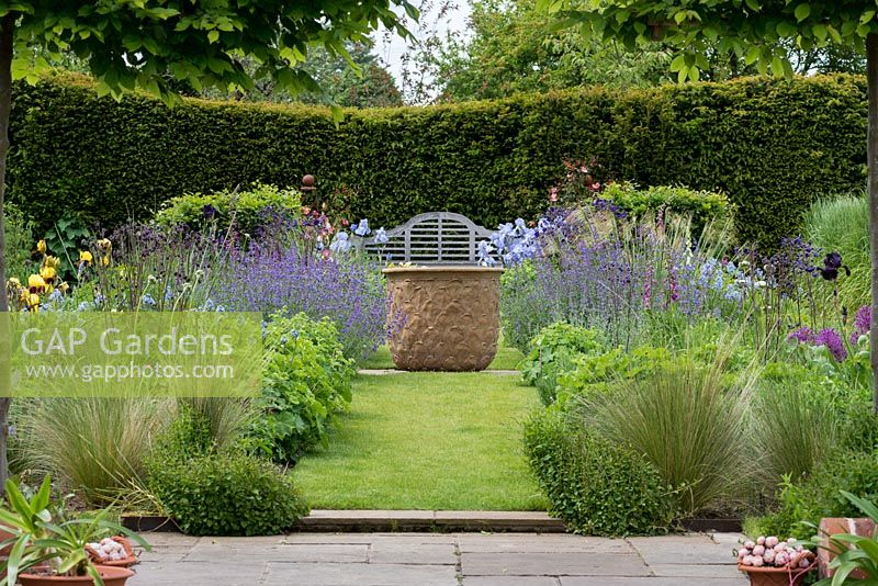 A grass path with central pot separates perennial borders of bearded irises, amsonia, catmint, Stipa gigantea, allium, aquilegia, hardy geranium and Alchemilla mollis.