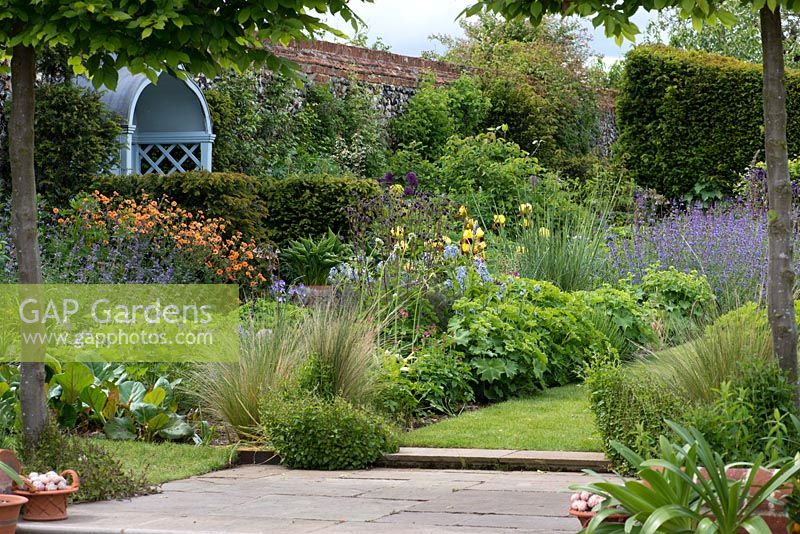Perennial borders run in front of arbour, edged in yew hedges, catmint and orange geums