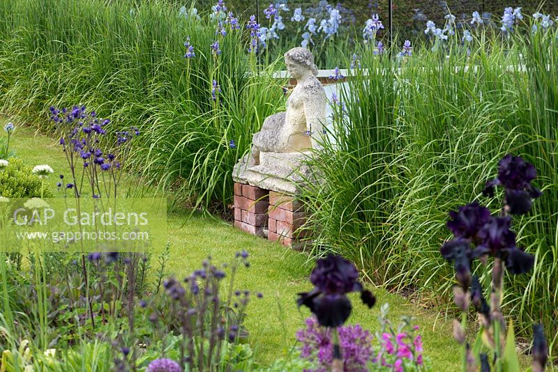 A statue is flanked by blue siberian iris and feather reed grass, which hides the glass screen behind.