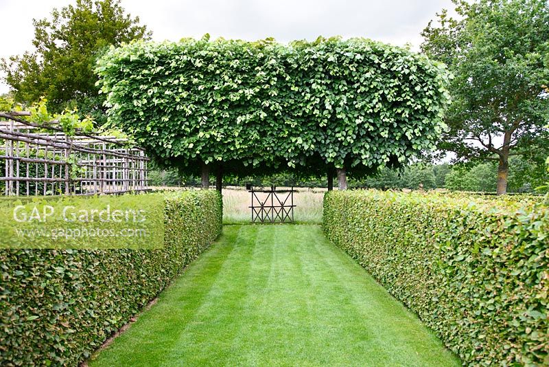 Low hornbeam hedges lead to a stilted beech hedge and a chestnut gate at Le Prieuré Notre-Dame d'Orsan