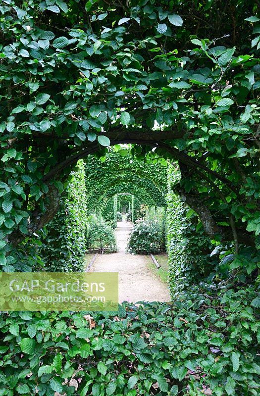 Vista of the hornbeam arches through a window clipped out the hornbeam hedge