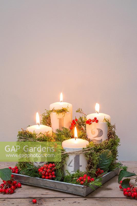 Advent candles with numbered clay plates, Pyracantha and Moss