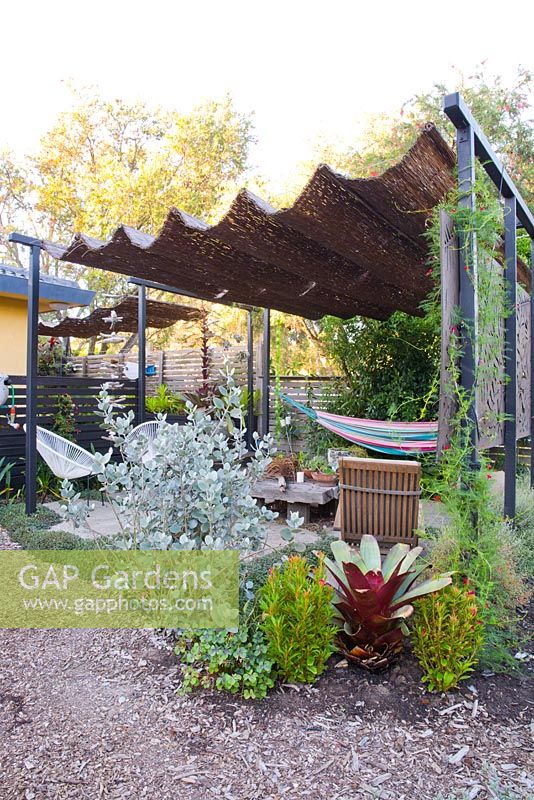 View into seating area showing Acapulco chairs and hammock under a retractable shade hut canopy. Kalanchoe hildebrantii 'Silver Spoons' in the foreground