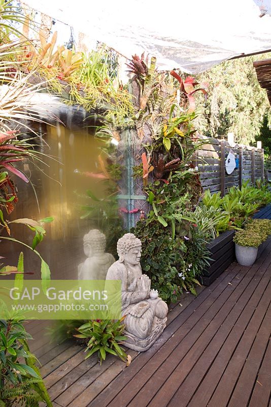 View of timber deck showing greenwall of various bromeliads and tillandsias with Buddha sitting in front of a trompe l'oeil mirror