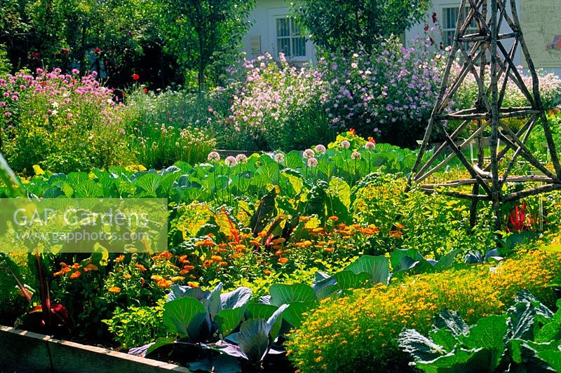 Tightly planted vegetable garden in sunlight