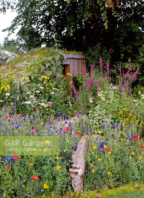 Shed almost hidden at back of garden, wildflower meadow - thymus, lavendula, papaver, centaura and helianthus. Driftwood sculpture in foreground, Design: Marney Hall, A potters retreat, HCFS 2002