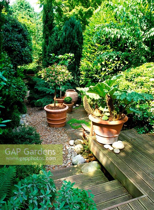 Gravel path leading through foliage borders to house. Pembridge Cottage, Twickenham in Spring