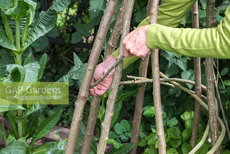 Weave the Willow between the Teepee, maintaining a spiral formation