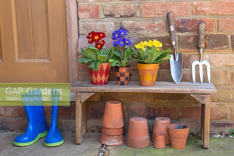 Terracotta pots with various Tartan patterns, planted with Primula elatior Crescendo series