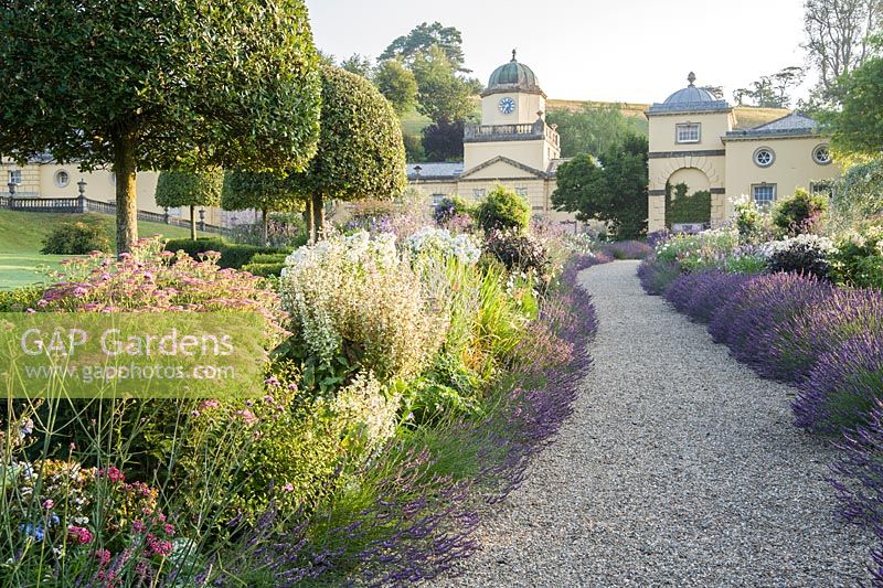 Summer borders in the Millennium Garden designed by Xa Tollemache are edged with Lavandula intermedia 'Grosso' and feature clipped holm oaks, Quercus ilex, Achillea millefolium 'Island Pink', Phlox paniculata 'White Admiral' and Verbena bonariensis. Castle Hill, Barnstaple, Devon, UK