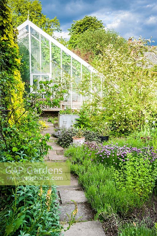 A path leads between lavender, chives, sage and thyme toward the greenhouse.