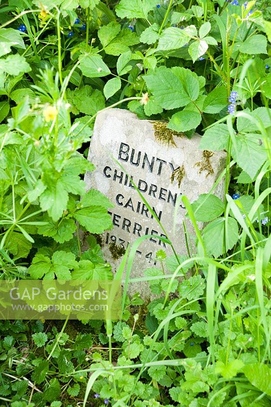 A grave marker for Bunty, the childrens' cairn terrier, in the low garden.
