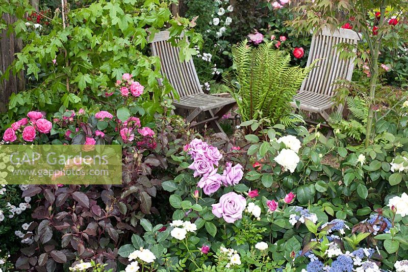 Seating area framed with roses and dense planting in 'Rosy Hues' at RHS Tatton Flower Show 2015