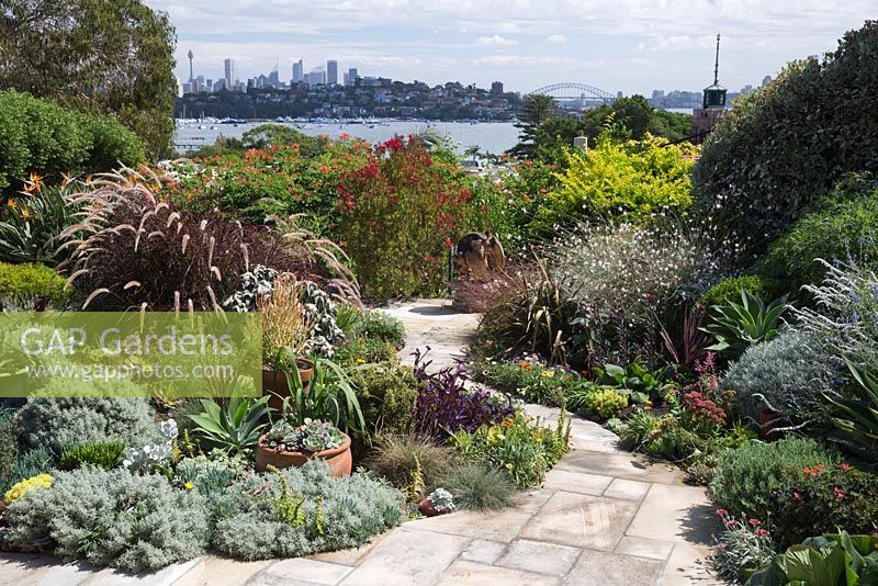 Mixed planting of perennials, grasses and succulents surrounded by sandstone paving with a view to Sydney Harbour.