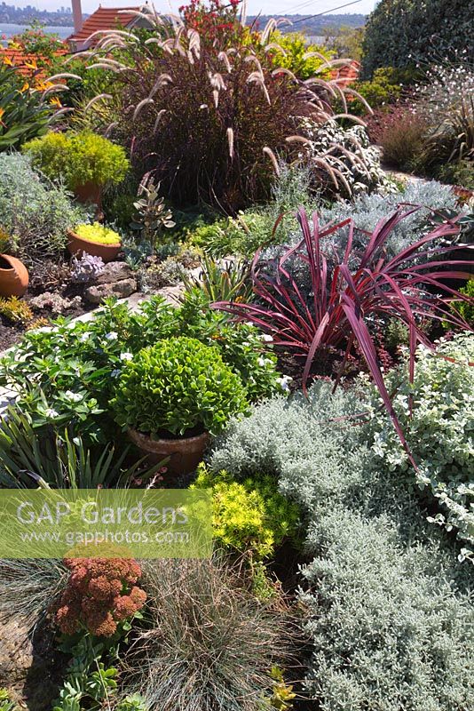 Garden with a mixed planting of perennials, grasses and succulents.