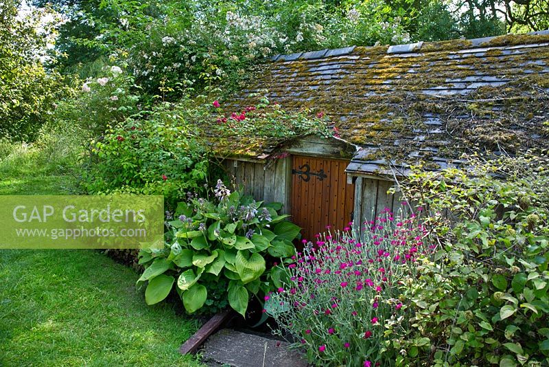 Boathouse in summer with herbaceous perennials, mature trees and shrubs at Shugborough Garden, Milford Staffordshire UK