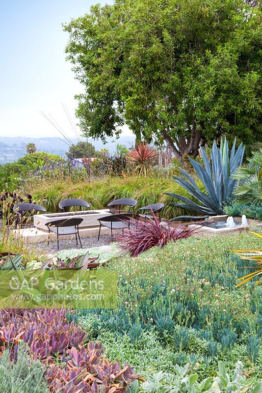 Outside seating area with gas fire pit and concrete contemporary water feature. Debora Carl's garden, Encinitas, California, USA. August.