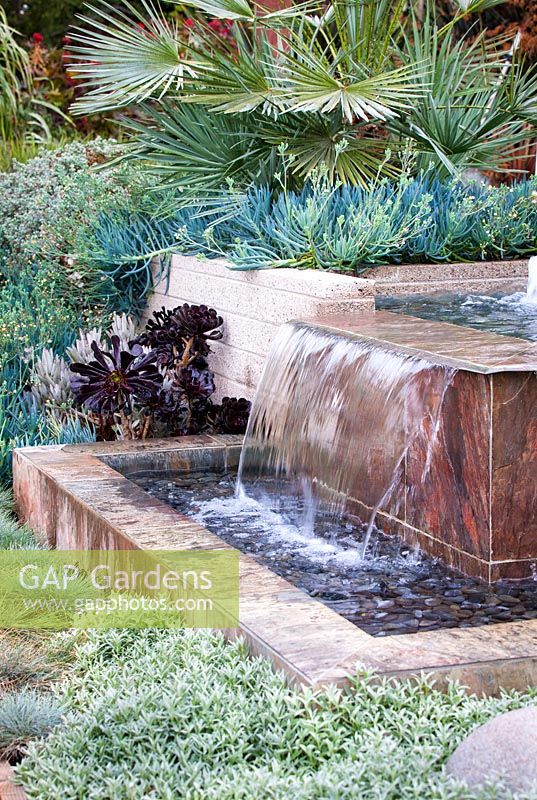 Modern water feature. Debora Carl's garden, Encinitas, California, USA. August.