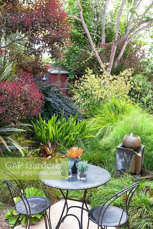 Table and chairs overlooking mixed beds and contemporary concrete water feature. Debora Carl's garden, Encinitas, California, USA. August.