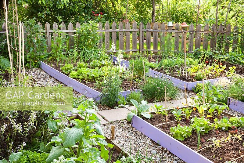 Vegetable garden in spring.