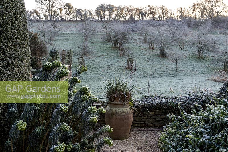 Frosty winter morning at Hanham Court Gardens, Bristol